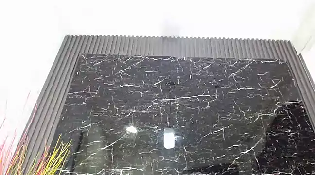 Snapshot of NalaRoy chatting on 12.10.24 NalaRoy online show from 12.10.24