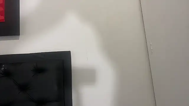 Snapshot of BBCGODIAM9 chatting on 01.28.25 BBCGODIAM9 online show from 01.28.25