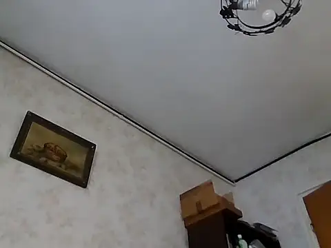 Snapshot of mariusica1@xh chatting on 11.01.25 mariusica1xh online show from 11.01.25