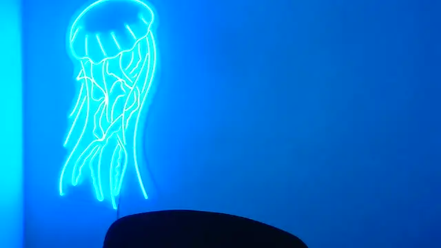 Snapshot of Fantasy_July chatting on 03.17.25 Fantasy July online show from 03.17.25