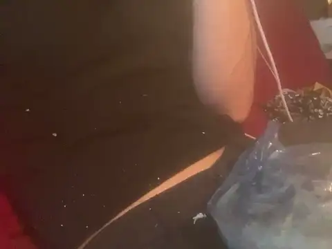 Snapshot of skatebored chatting on 01.26.25 skatebored online show from 01.26.25