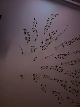 -Sexy Barbie- online show from 02.08.25