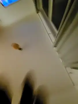 Snapshot of eric69_69 chatting on 11.07.25 eric69 69 online show from 11.07.25