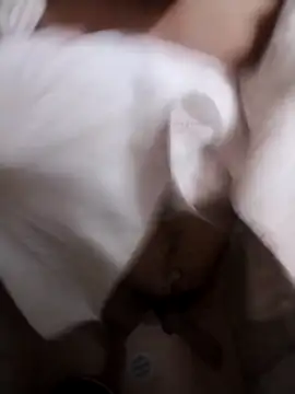 Professor Leo  online show from 02.02.26