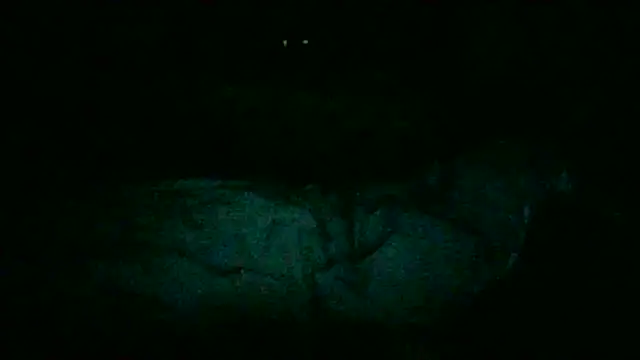 DI4MOND FIR3 online show from 11.28.25