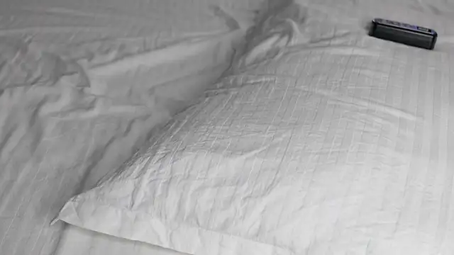 Snapshot of celestara chatting on 12.20.24 celestara online show from 12.20.24