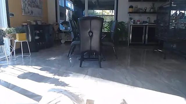 Snapshot of Toy-Daddy chatting on 10.28.25 Toy-Daddy online show from 10.28.25