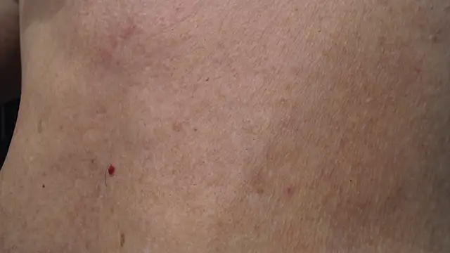 Toy-Daddy online show from 11.20.25