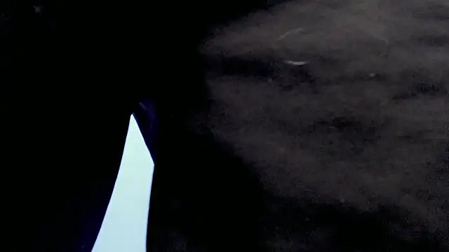 Snapshot of Jake_tripp chatting on 09.27.25 Jake tripp online show from 09.27.25