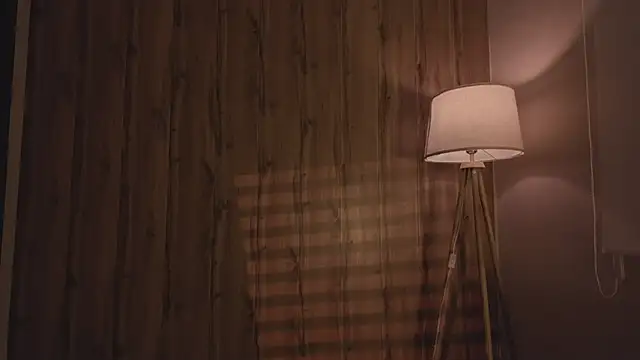 Snapshot of MariMaddison chatting on 11.11.25 MariMaddison online show from 11.11.25