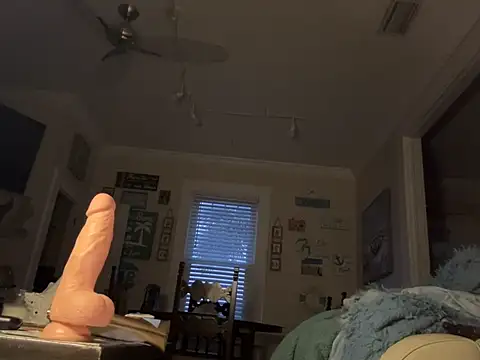 Snapshot of cloudy_switch chatting on 12.28.24 cloudy switch online show from 12.28.24