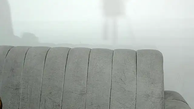 laly mariana online show from 11.22.25