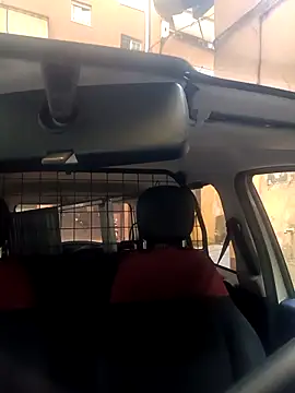 Porco81cazzo online show from 11.29.25