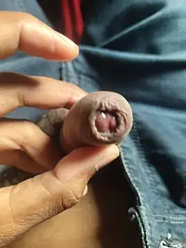 iaparna online show from 11.17.25