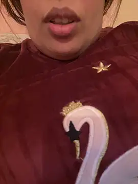 Snapshot of Samarr_9and chatting on 12.20.24 Samarr 9and online show from 12.20.24