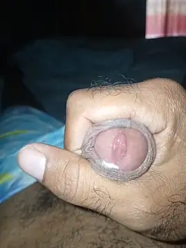 taylorWiiz online show from 01.08.26