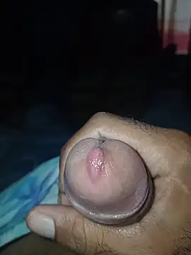 taylorWiiz online show from 02.08.26