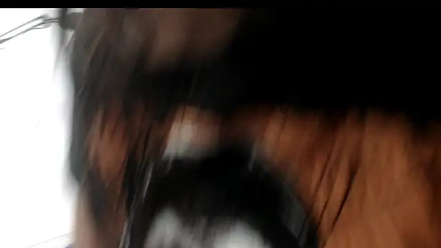 evaleribigtits18 online show from 11.24.25