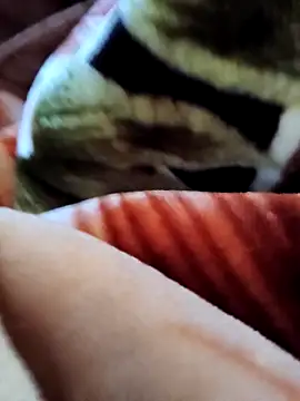 yhona darling online show from 12.19.25