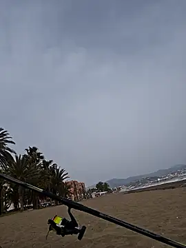 Snapshot of charlye_inkkkk chatting on 03.02.26 charlye inkkkk online show from 03.02.26