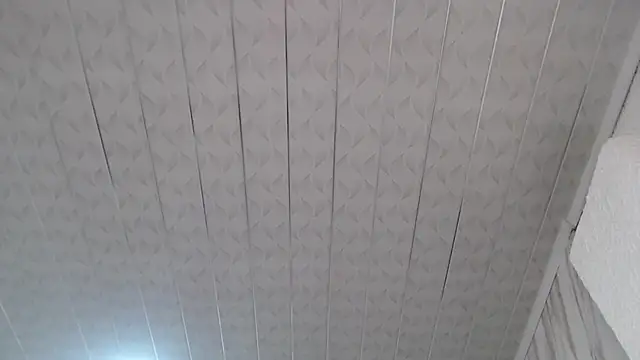 Violeth b online show from 02.14.25