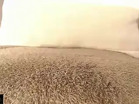 mikellwilliams10 online show from 03.15.25