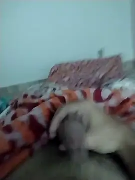 Snapshot of lm279 chatting on 02.13.25 lm279 online show from 02.13.25