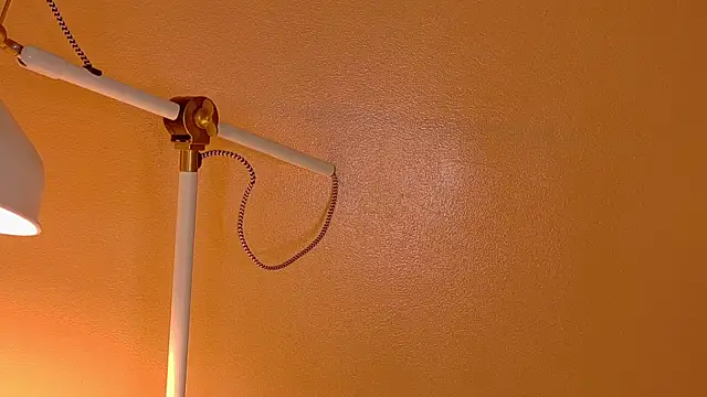 ParisFox  online show from 12.20.25