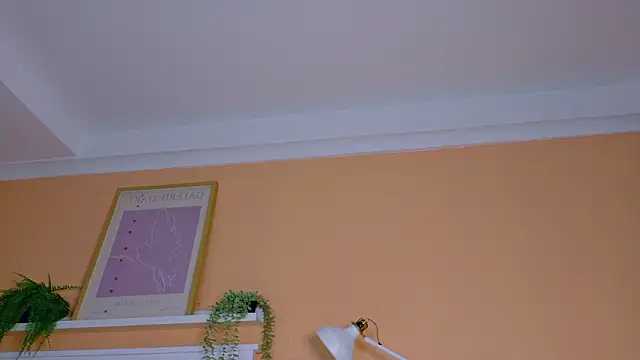 ParisFox  online show from 02.21.26