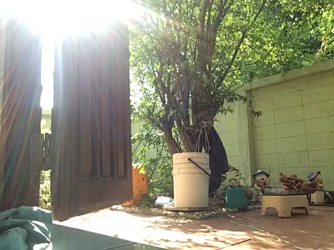 Snapshot of scottish068 chatting on 03.14.25 scottish068 online show from 03.14.25