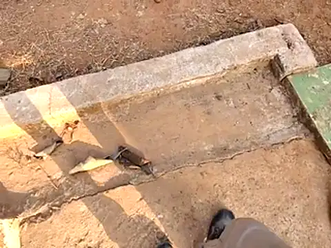 Ishan003 online show from 02.15.26