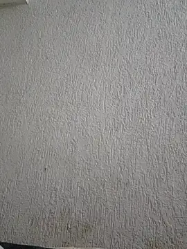 Snapshot of Priya_Strip chatting on 02.03.26 Priya Strip online show from 02.03.26