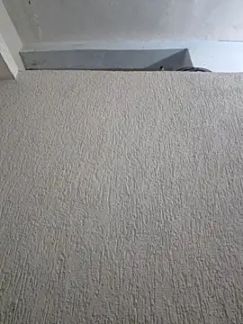 Priya Strip online show from 03.28.26