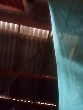 walkollanew99 online show from 03.25.26