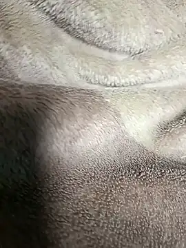 Snapshot of AssamSilchar93 chatting on 01.20.25 AssamSilchar93 online show from 01.20.25