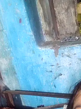 Snapshot of Natasha-In69 chatting on 11.18.25 Natasha-In69 online show from 11.18.25