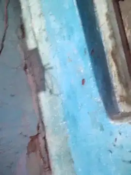 Snapshot of Natasha-In69 chatting on 12.15.25 Natasha-In69 online show from 12.15.25