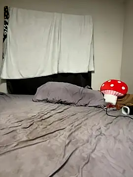 treatbobnicer online show from 11.01.25