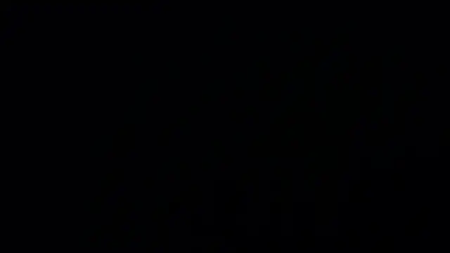 Snapshot of Yourdikshi chatting on 10.23.25 Yourdikshi online show from 10.23.25