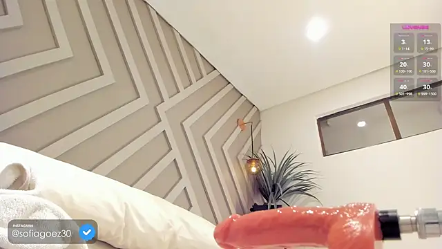 Snapshot of SOFIAGOEZ30 chatting on 01.27.25 SOFIAGOEZ30 online show from 01.27.25