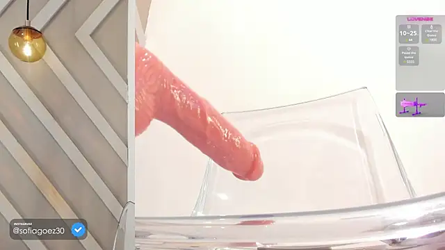 Snapshot of SOFIAGOEZ30 chatting on 02.21.25 SOFIAGOEZ30 online show from 02.21.25