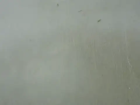 dickrus0077 online show from 02.25.25