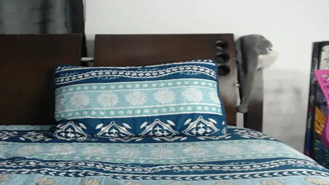 Tobicutee online show from 02.05.26