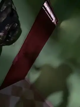 Alphadavid 23 online show from 02.26.25