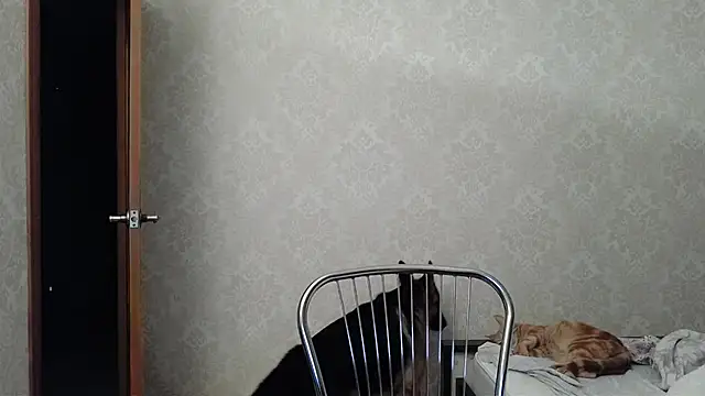 Kashtanka  online show from 12.10.24