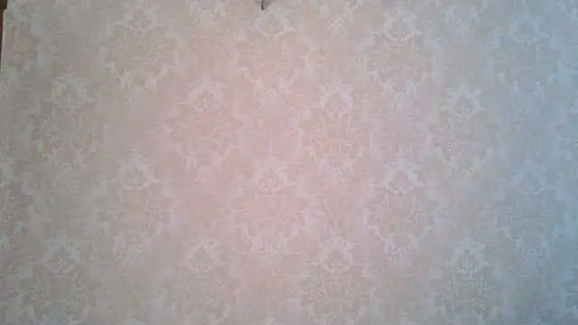 Kashtanka  online show from 11.04.25