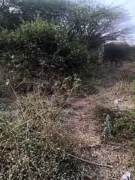 Abinash7732 online show from 02.01.26