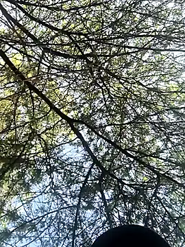 Abinash7732 online show from 03.08.26