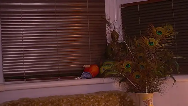 divinelights online show from 11.12.25