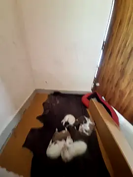 inba99tamil online show from 09.18.25